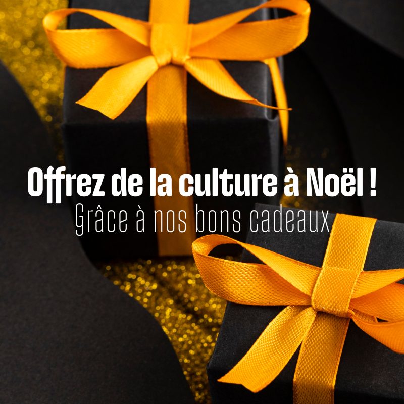 cadeaux noir et blanc + texte " offrez de la culture à Noël"